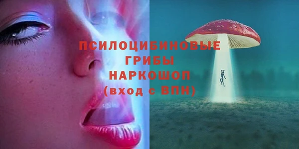 круглые Бронницы