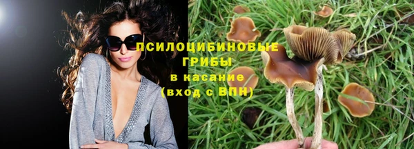 jwh Бородино