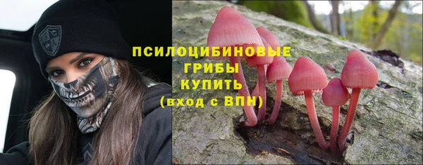 круглые Бронницы