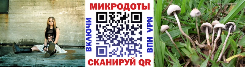 даркнет сайт Липки Псилоцибиновые грибы мухоморы